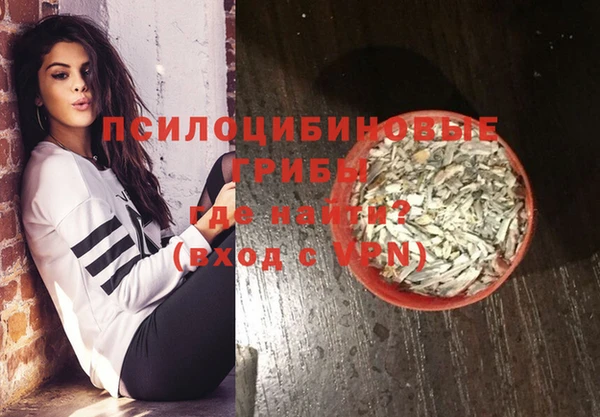 стафф Верхний Тагил
