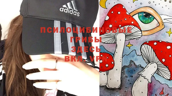 MDMA Бородино