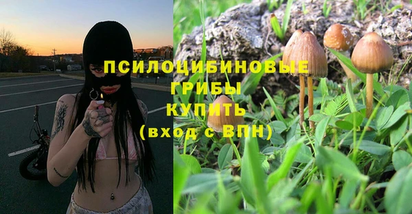 стафф Верхний Тагил
