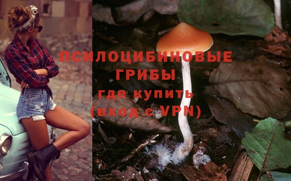 МДПВ Верея