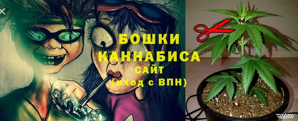 MDMA Бородино