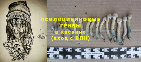 МДПВ Верея