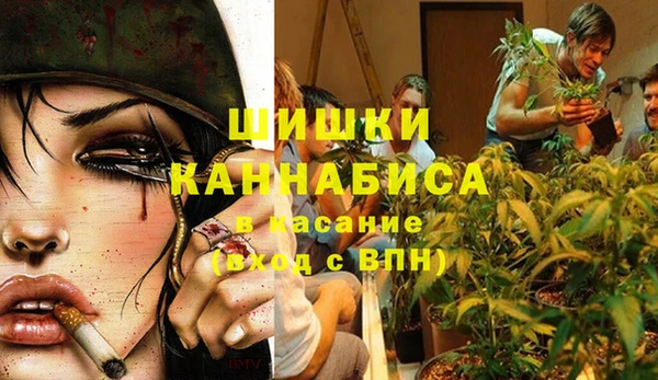 стафф Верхний Тагил