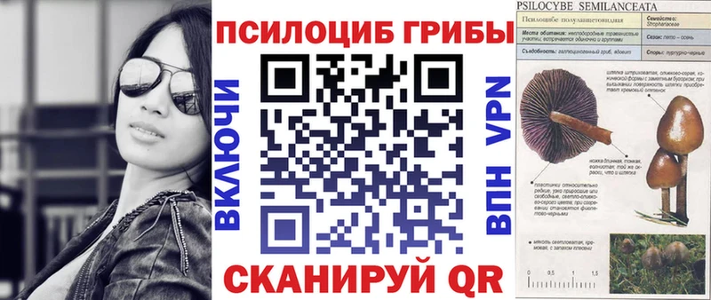 Купить где  Чкаловск  Псилоцибиновые грибы Psilocybine cubensis 