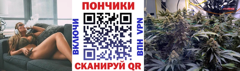 Бошки Шишки Bruce Banner Чкаловск
